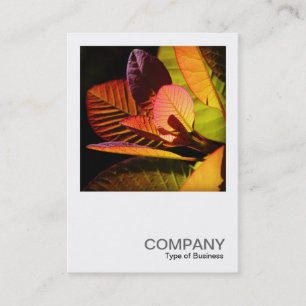 Square Photo 0560 - Colourful Leaves Business Card