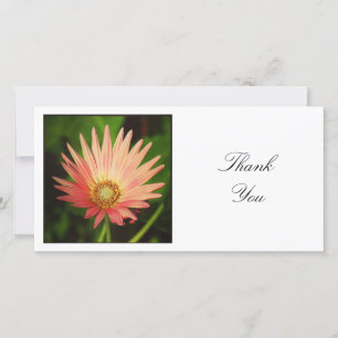 Square Photo - African Daisy Thank You Card