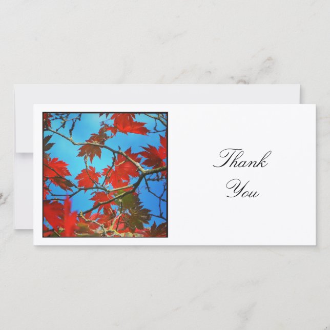 Square Photo - Autumn Leaves Thank You Card (Front)