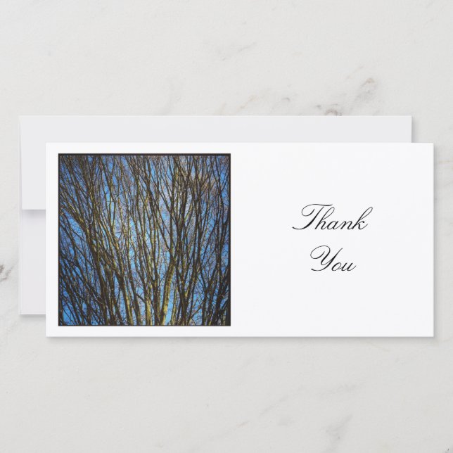 Square Photo - Branches Thank You Card (Front)