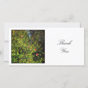 Square Photo - Camellias Thank You Card