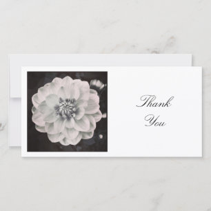 Square Photo - Chrysanthemum Thank You Card