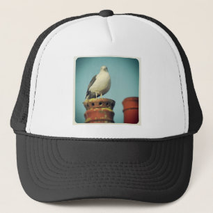 Square Photo - Favourite Perch Trucker Hat