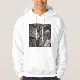 Square Photo - Magnolia Tree in Early Spring Hoodie