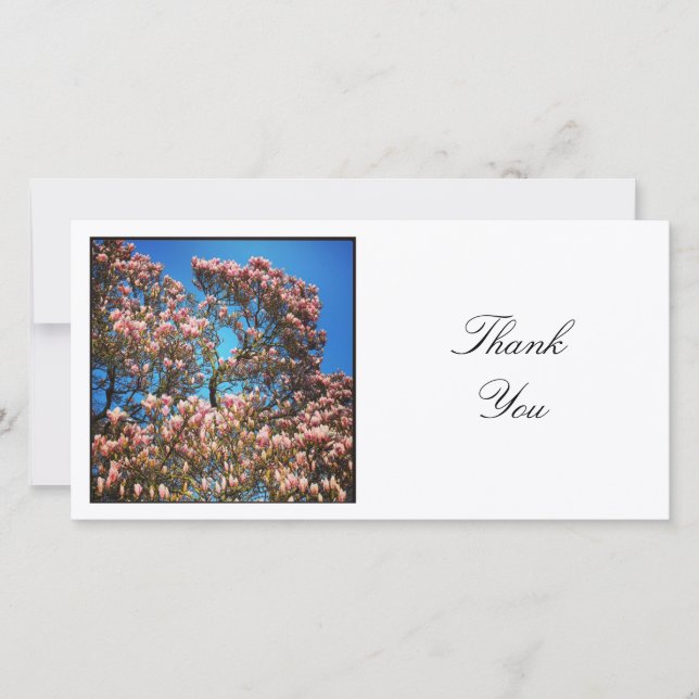 Square Photo - Magnolia Tree Thank You Card (Front)