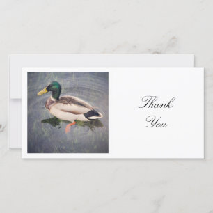 Square Photo - Mallard Duck Thank You Card