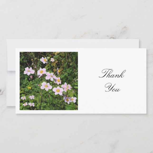 Square Photo - Mallow Flowers Thank You Card (Front)