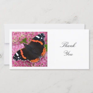 Square Photo - Red Admiral Butterfly Thank You Card