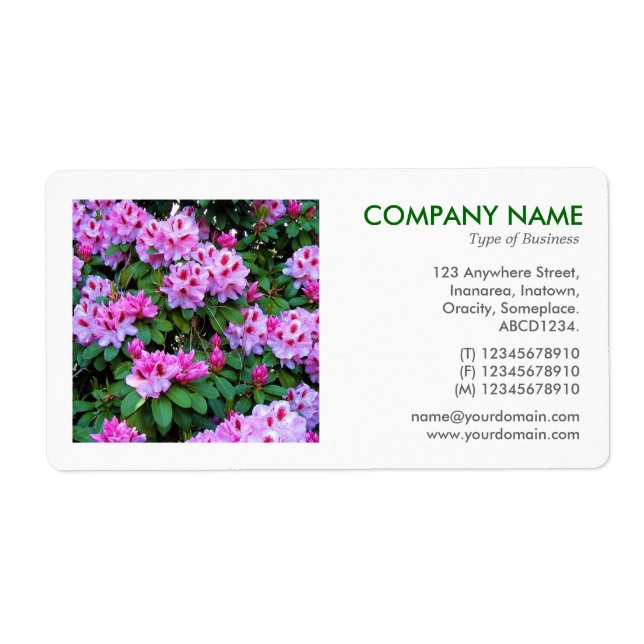 Square Photo - Rhododendrons (Front)