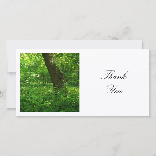 Square Photo - Spring in the Woods Thank You Card (Front)
