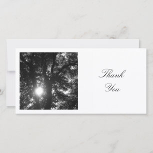 Square Photo - Sun Through the Trees (BW) Thank You Card