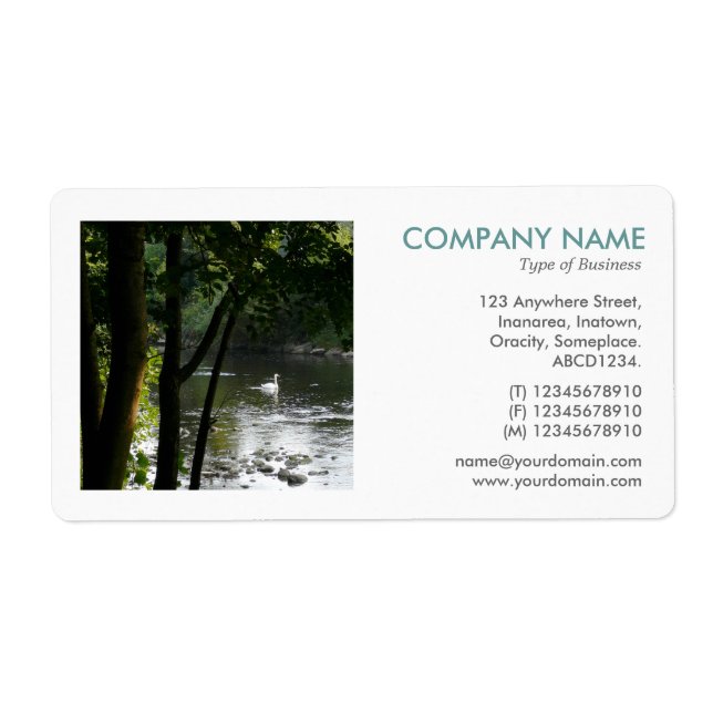 Square Photo - Swan on the River (Front)