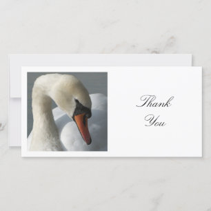 Square Photo - Swan Thank You Card