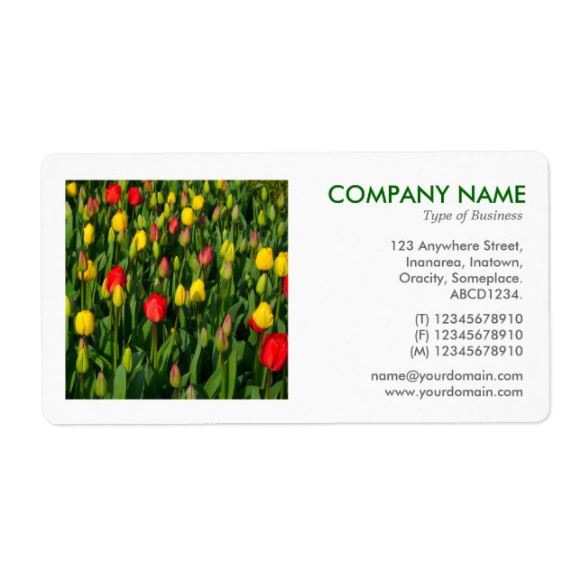 Square Photo - Tulips (Front)