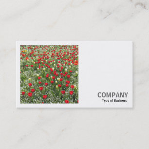 Square Photo (v2) - Bed of Tulips Business Card