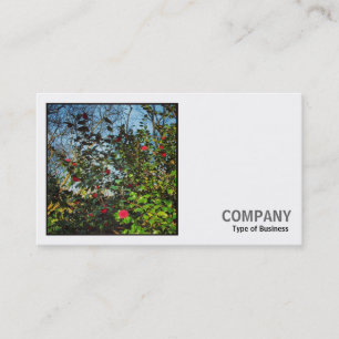 Square Photo (v2) - Camellia Bush Business Card