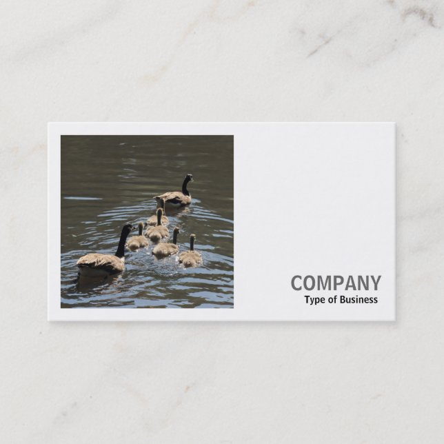 Square Photo (v2) - Canada Geese with Goslings Business Card (Front)
