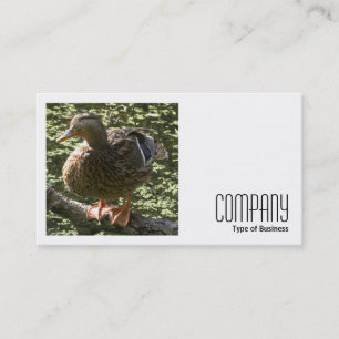 Square Photo (v2) - Happy Duck Business Card