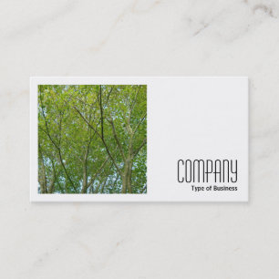 Square Photo (v2) - Japanese Maple Business Card