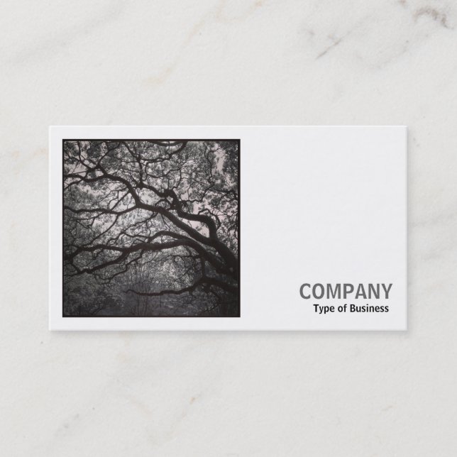 Square Photo (v2) - Magnolia Tree in Blossom 01 Business Card (Front)