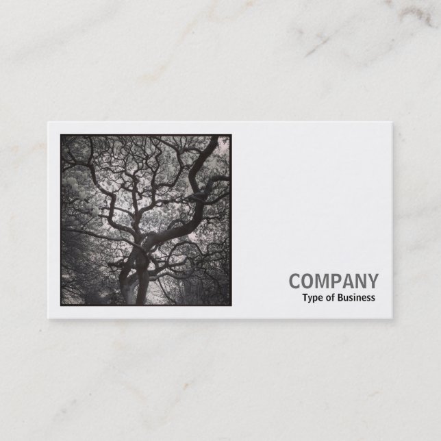 Square Photo (v2) - Magnolia Tree in Blossom 03 Business Card (Front)