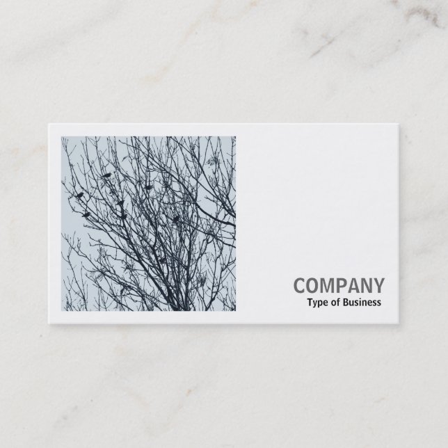 Square Photo (v2) - Starlings in a Tree Business Card (Front)