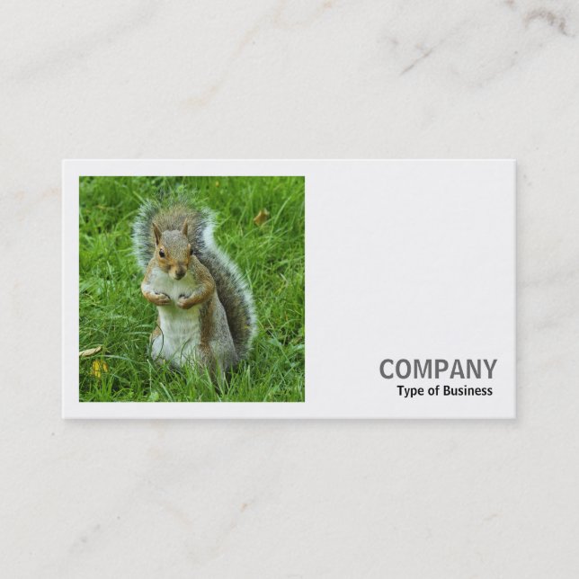 Square Photo (v2) - Startled Grey Squirrel Business Card (Front)