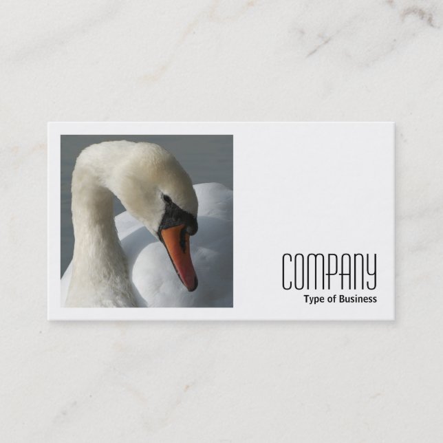 Square Photo (v2) - Swan Business Card (Front)