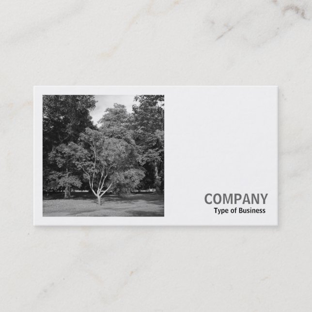 Square Photo (v2) - Trees, Bute Park, Cardiff Business Card (Front)