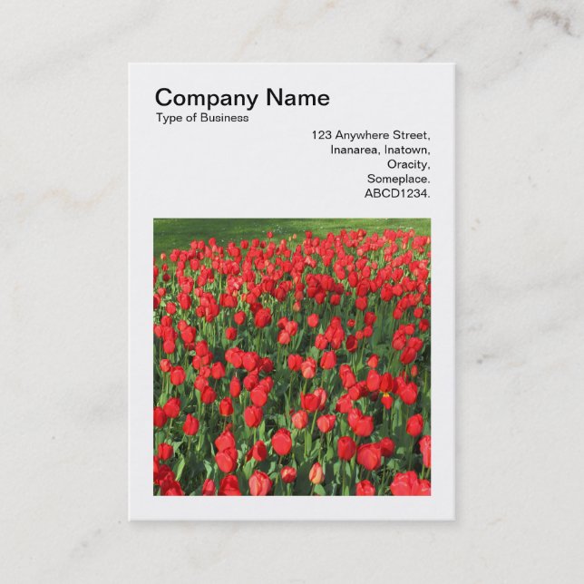 Square Photo (v3) - Bed of Red Tulips 02 Business Card (Front)