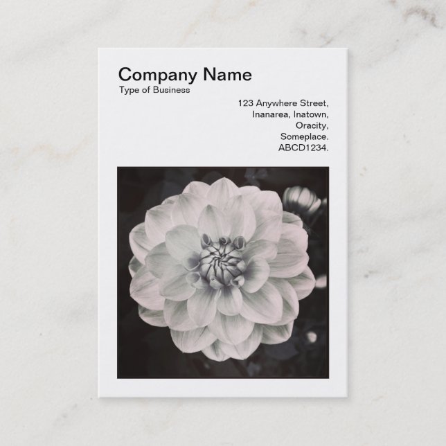 Square Photo (v3) - Chrysanthemum Business Card (Front)