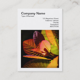 Square Photo (v3) - Colourful Leaves Business Card