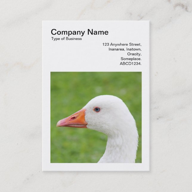 Square Photo (v3) - Goose Business Card (Front)