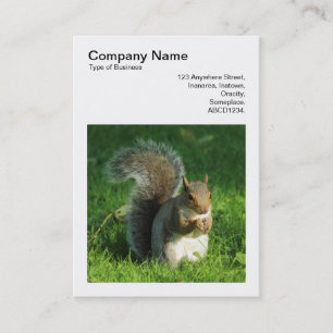 Square Photo (v3) - Grey Squirrel Eating Nuts Business Card
