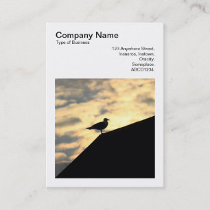 Square Photo (v3) - Herring Gull Sunset Business Card