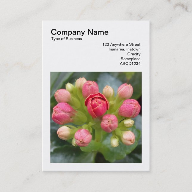 Square Photo (v3) - Kalanchoe Buds Business Card (Front)