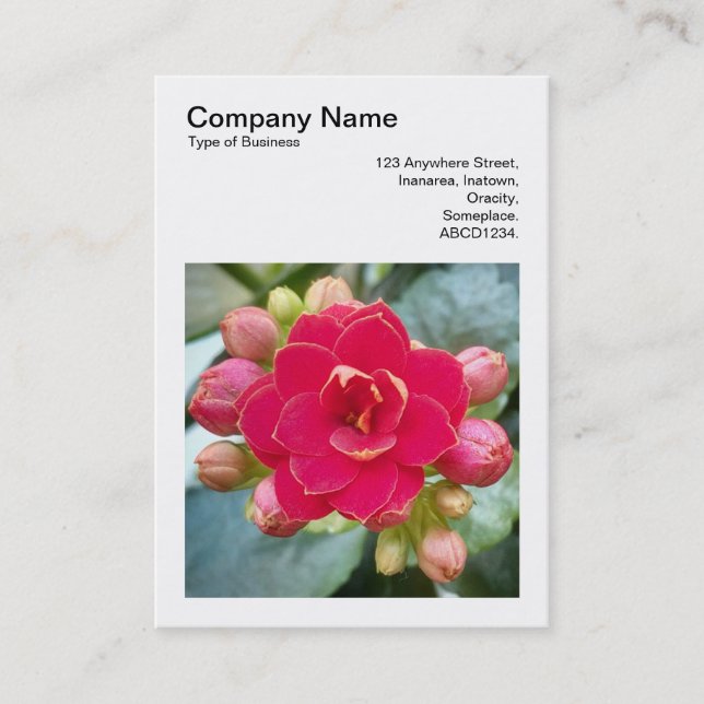 Square Photo (v3) - Kalanchoe Business Card (Front)