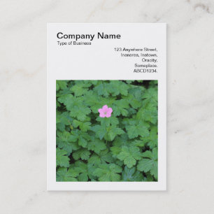 Square Photo (v3) - Lone Geranium Business Card