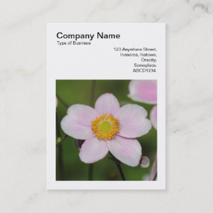Square Photo (v3) - Pink Anemone Business Card