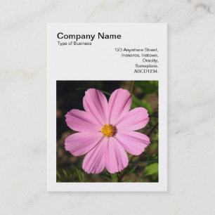 Square Photo (v3) - Pink Cosmos Business Card