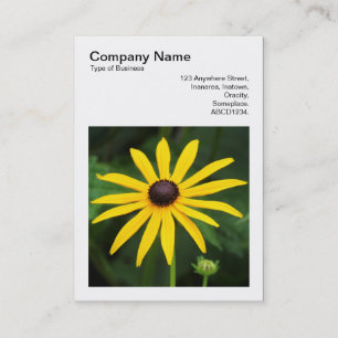 Square Photo (v3) - Rudbeckia hirta Business Card