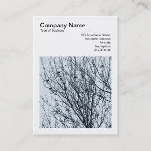 Square Photo (v3) - Starlings in a Tree Business Card