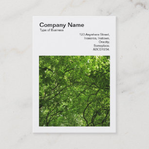 Square Photo (v3) - Summer in the Trees Business Card