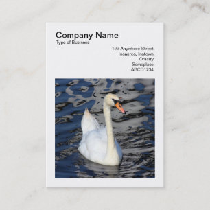 Square Photo (v3) - Swan Business Card