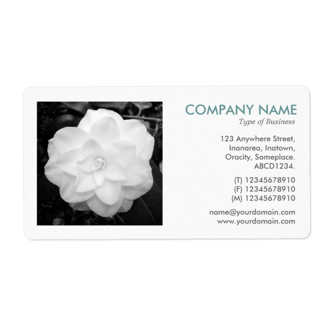 Square Photo - White Camelia (Front)