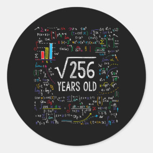 Square Root Of 256 16th Birthday 16 Year Old Gifts Classic Round Sticker