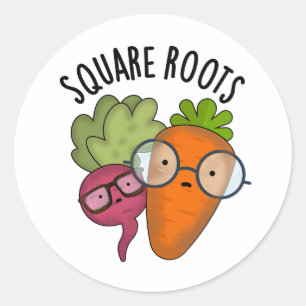 Square Roots Funny Math Pun  Classic Round Sticker