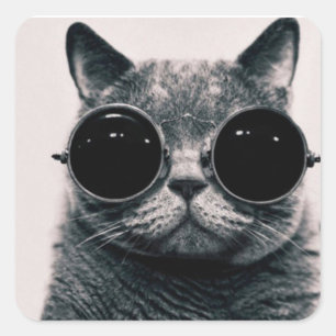 Square sticker - Glasses cat