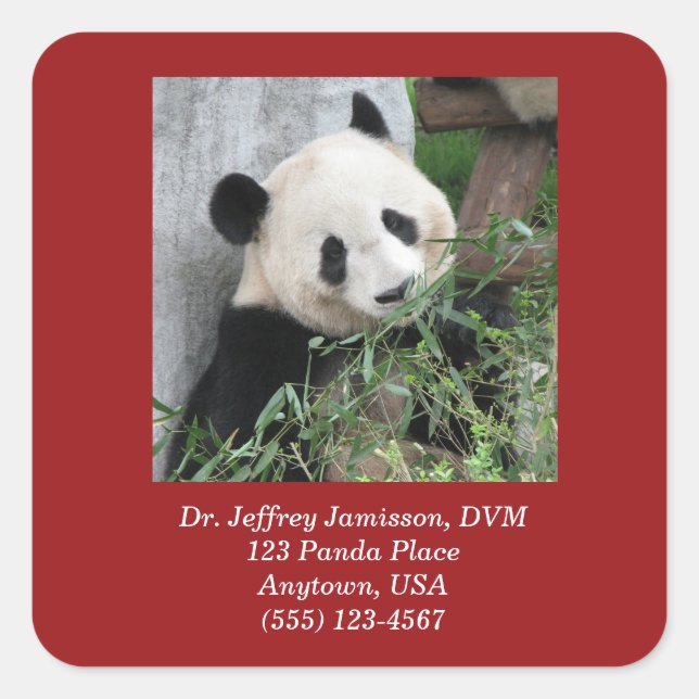 Square Stickers, Giant Pandas, Veterinarian Square Sticker (Front)