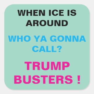 Square Stickers, sheet of six 3 inch stickeSticker Sticker